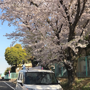 トールカスタム