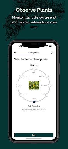 Screenshot Budburst