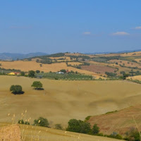 La Campagna Toscana di 