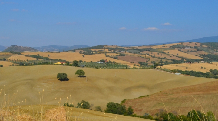 La Campagna Toscana di utente cancellato