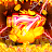 Fire Fortune Power icon