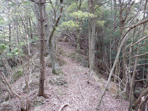 山頂への登りに