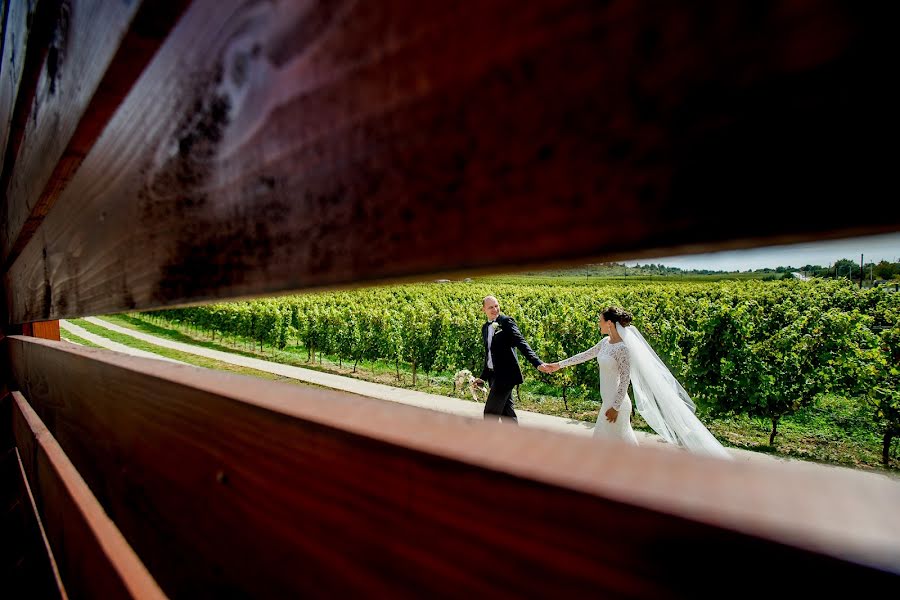 Fotografo di matrimoni László Fülöp (fuloplaszlo). Foto del 16 novembre 2017