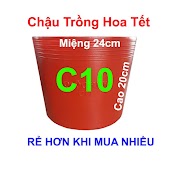 Chậu Nhựa Đỏ C10 Trồng Hoa Tết, Trồng Rau, Trồng Hoa Vạn Thọ Tết (24X20Cm)