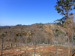 伐採地に獣避け柵