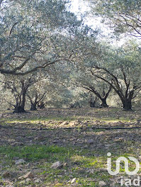 terrain à Le Bosc (34)