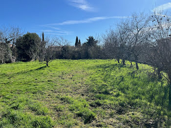 maison neuve à Blagnac (31)