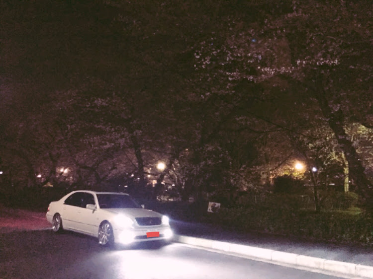セルシオの夜桜コラボ・LED化に関するカスタム事例の投稿画像1枚目