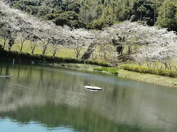 歌詞ドッキリ