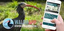 WaldrApp | SPOTTERON APK