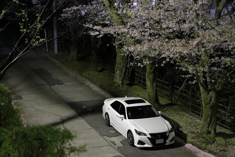 クラウンアスリートのイナズマクラウン・カメ活・桜とコラボ・サクラと愛車・洗車と書いて雨乞いと読むに関するカスタム事例の投稿画像2枚目