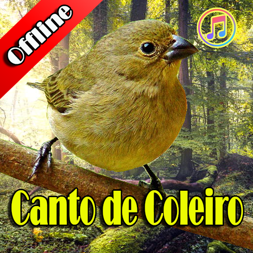 Canto de Coleiro Sem Internet