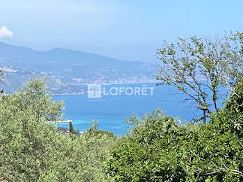 terrain à Roquebrune-Cap-Martin (06)