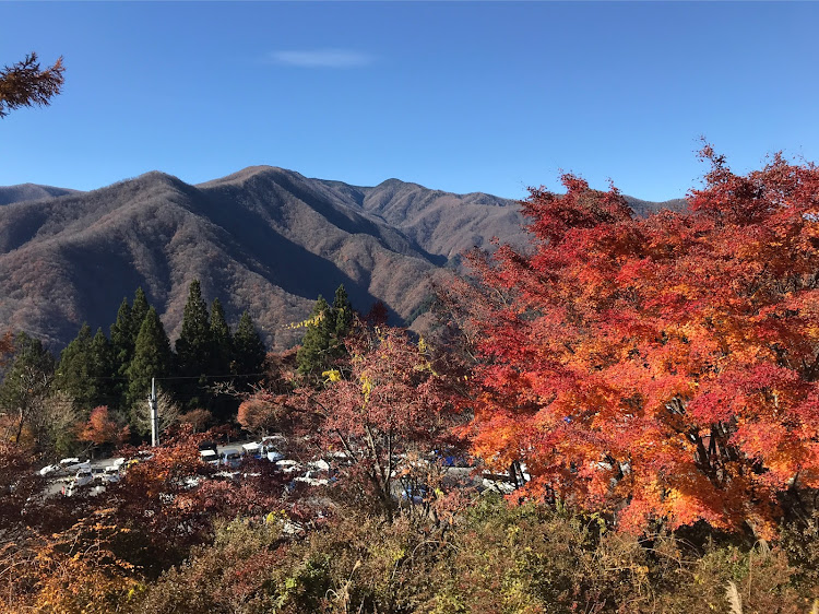 の投稿画像5枚目