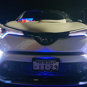 C-HR ZYX10