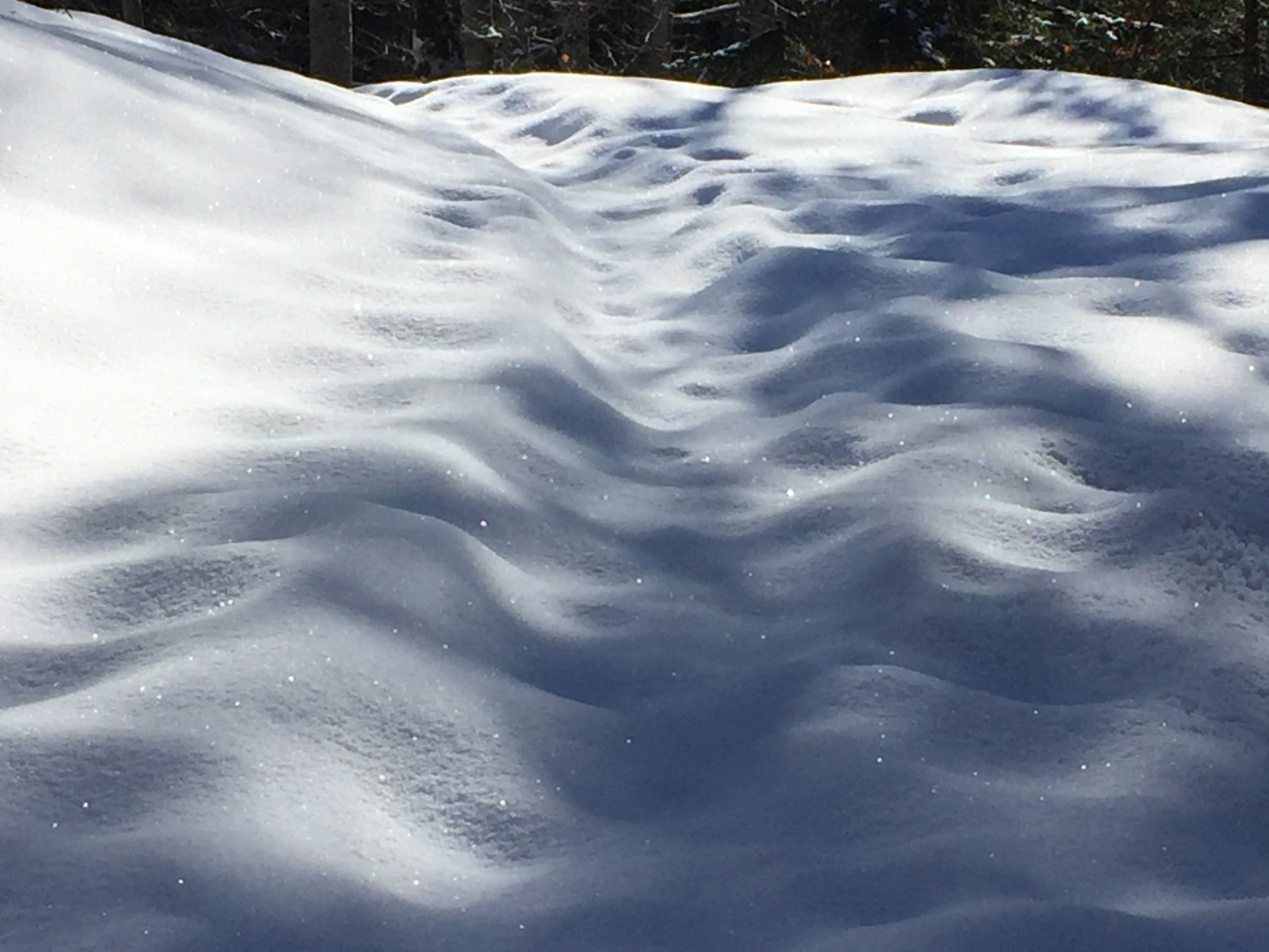 ombre di neve di jorge63