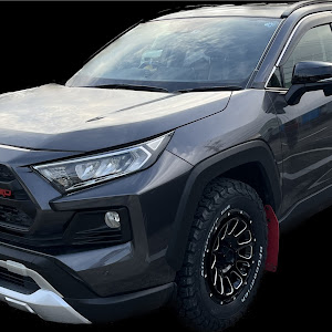 RAV4 MXAA54