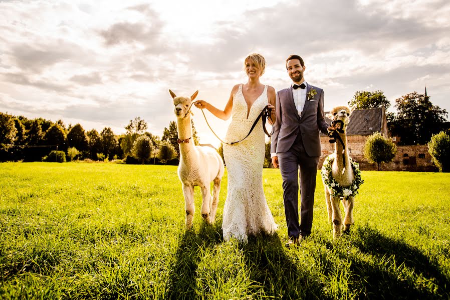 Photographe de mariage David Hallwas (hallwas). Photo du 11 septembre 2019