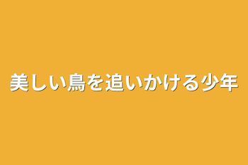 美しい鳥を追いかける少年