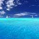 Calm Ocean Waves Sounds: Relax Music, White Noise Download on Windows