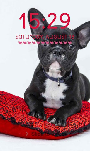 Cute Puppy Lock Screen Cute Puppy Pattern Passcode