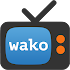 wako4.1.3