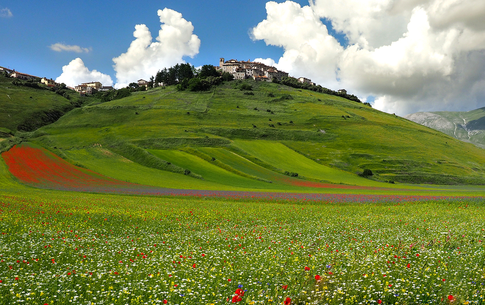 Pennellate d'autore. di brunosma