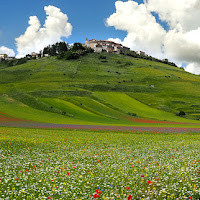 Pennellate d'autore. di 