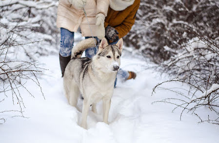 Wedding photographer Svetlana Yaroslavceva (yaroslavcevafoto). Photo of 27 January 2016