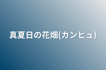 真夏日の花畑(カンヒュ)