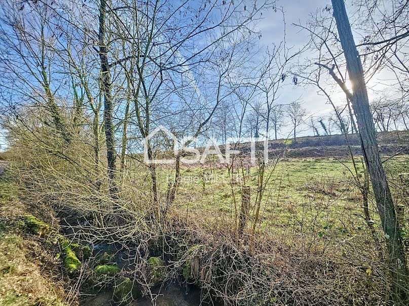 Vente terrain  9918 m² à Pulligny (54160), 28 000 €