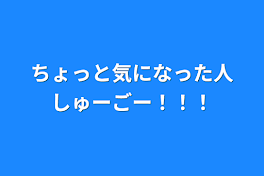 ちょっと気になった人しゅーごー！！！