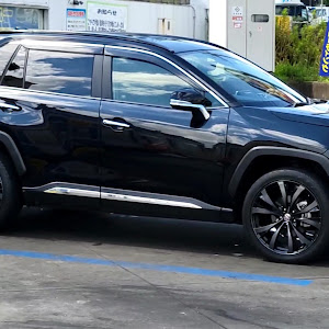 RAV4 MXAA54