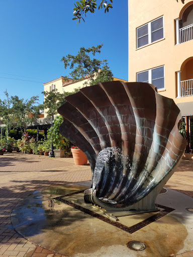 Sea Shell Art