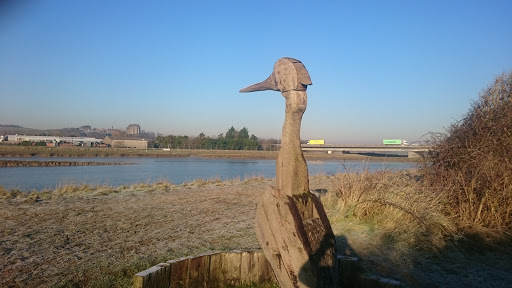 Giant Bird Carving