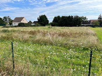 terrain à Saint-Viâtre (41)