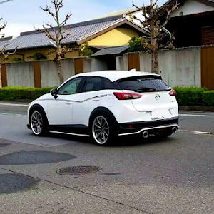 CX-3 DKEFW