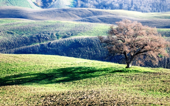 OMBRA di AGATA