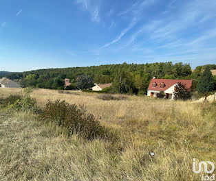 terrain à Ormoy-la-Rivière (91)