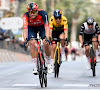 Filippo Ganna mengt zich in discussie over geste van Van Aert aan Laporte in Gent-Wevelgem