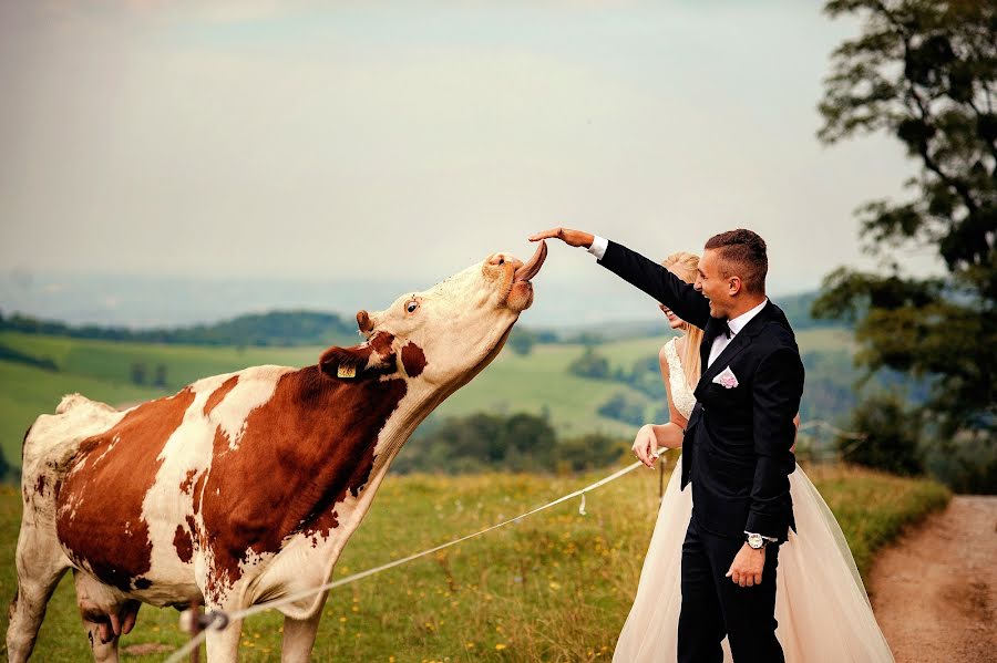 Wedding photographer Anna Radziejewska-Lorek (annaradziejewska). Photo of 22 November 2019