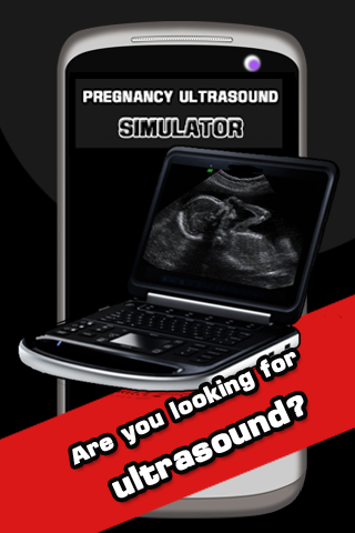 Pregnancy Ultrasound Simulator