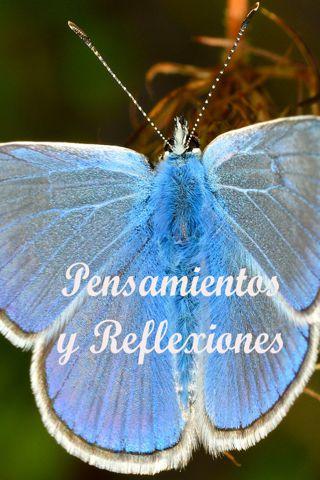 Pensamientos y Reflexiones