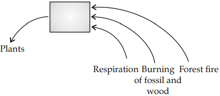 Biogeochemical Cycles