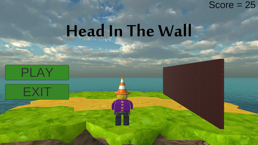 Head In The Wall 3D