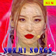 Download New Sunmi Songs KPop Offline For PC Windows and Mac 1.1