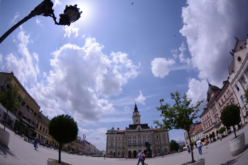 SNS tvrdi da je Janko Veselinović napao direktora Gradskog zelenila