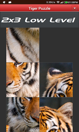 Solve Animal - Tiger Puzzle