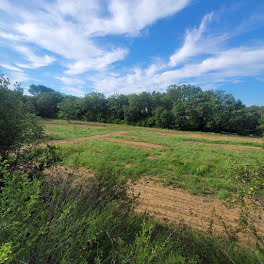 terrain à Saint-Martin-de-Crau (13)