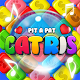 Block puzzle : Catris